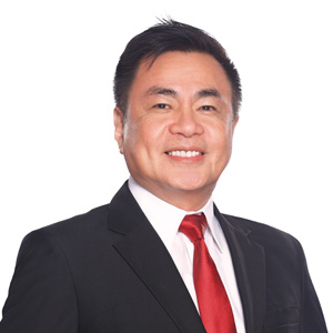 JOSE GERMAN M. LICUP, Enterprise Services Segment Head